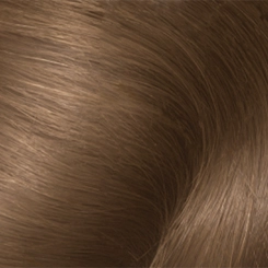 Garnier Olia Permanent Hair Color