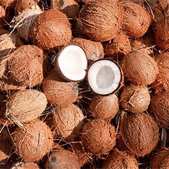 Lullalove szczotka do masażu kokos