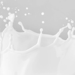 morfose milk therapy