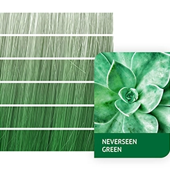Color Fresh Create Neverseen Green